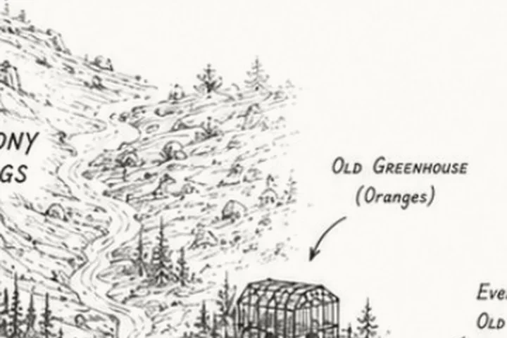 The Old Greenhouse